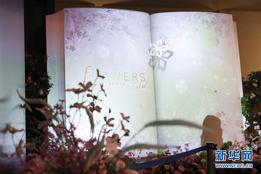 （國際）（6）日本東京：寒冬時(shí)節(jié)賞&ldquo;繁花&rdquo; 