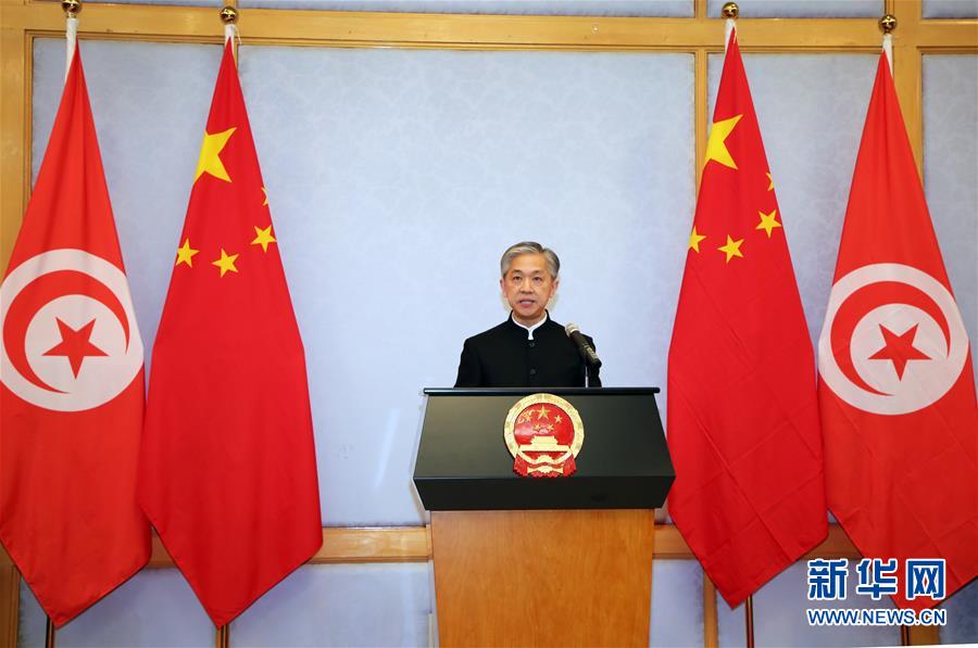 （XHDW&middot;圖文互動）（2）五湖迎亥歲　四海賀新春&mdash;&mdash;我駐外使領館舉辦新春招待會喜迎農歷新年