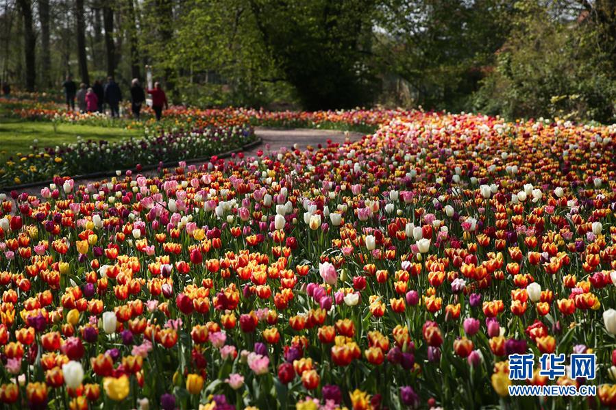 （國際&middot;北京世園會）（21）世界園林巡禮&mdash;&mdash;比利時(shí)拜加登城堡