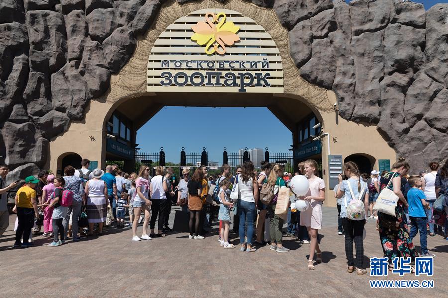 （習(xí)近平出訪配合稿&middot;圖文互動(dòng)）（1）通訊：&ldquo;友誼使者&rdquo;中國(guó)大熊貓入住莫斯科新家