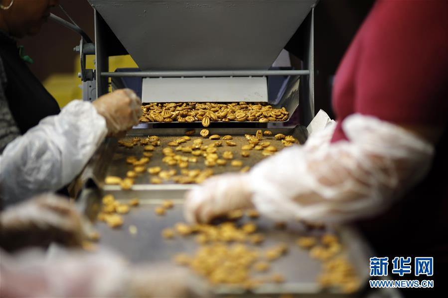 （國際&middot;圖文互動）（8）通訊：期待美中盡早達成貿(mào)易協(xié)議&mdash;&mdash;颶風和關(guān)稅夾擊下的美國山核桃種植戶盼重回中國市場