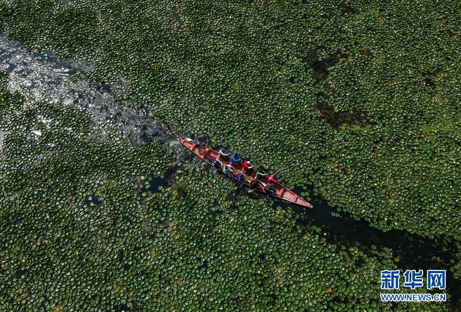 （國際&middot;年終報(bào)道）（8）2019，精&ldquo;彩&rdquo;紛呈