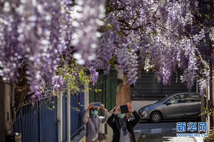 (國際疫情)(3)法國新冠患者住院人數(shù)首次出現(xiàn)下降