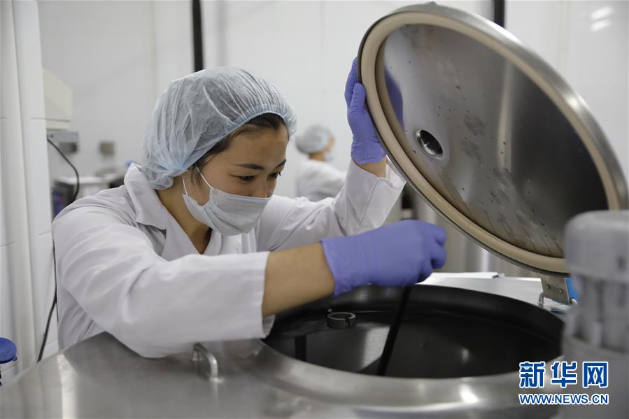 (國際·圖文互動(dòng))(5)從“先遣隊(duì)”到“正規(guī)軍”——哈薩克斯坦駱駝奶粉入華記