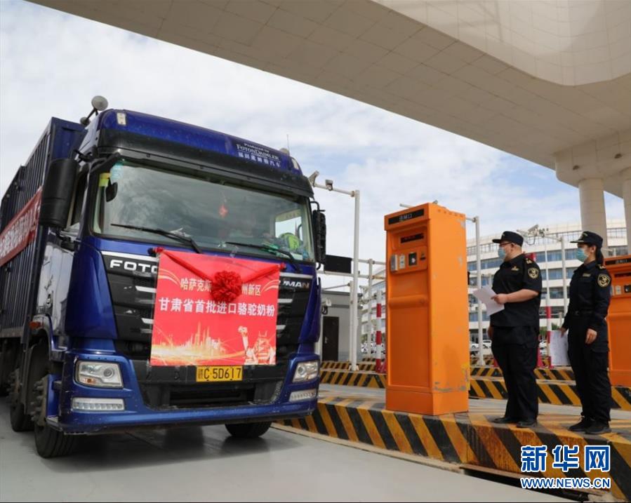 (國際·圖文互動(dòng))(7)從“先遣隊(duì)”到“正規(guī)軍”——哈薩克斯坦駱駝奶粉入華記