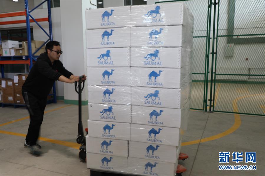 (國際·圖文互動(dòng))(8)從“先遣隊(duì)”到“正規(guī)軍”——哈薩克斯坦駱駝奶粉入華記
