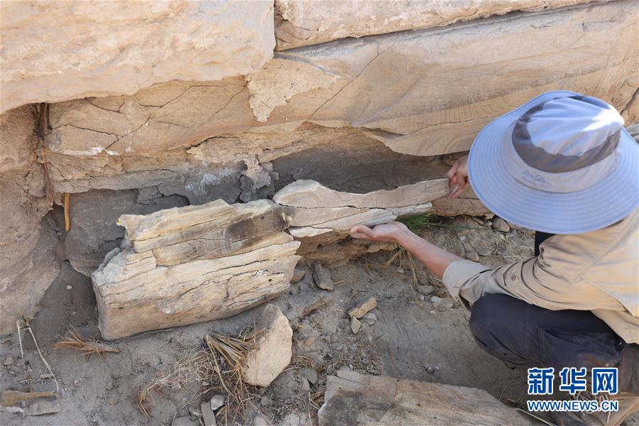 （國(guó)際&middot;圖文互動(dòng)）（8）疫中考古&mdash;&mdash;中國(guó)與埃及首次聯(lián)合考古取得階段性成果