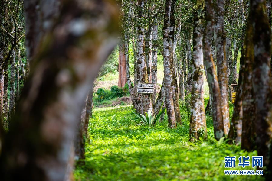 （第三屆進(jìn)博會(huì)&middot;圖文互動(dòng)）（3）專訪：進(jìn)博會(huì)提供了一個(gè)共享中國(guó)發(fā)展機(jī)遇的平臺(tái)