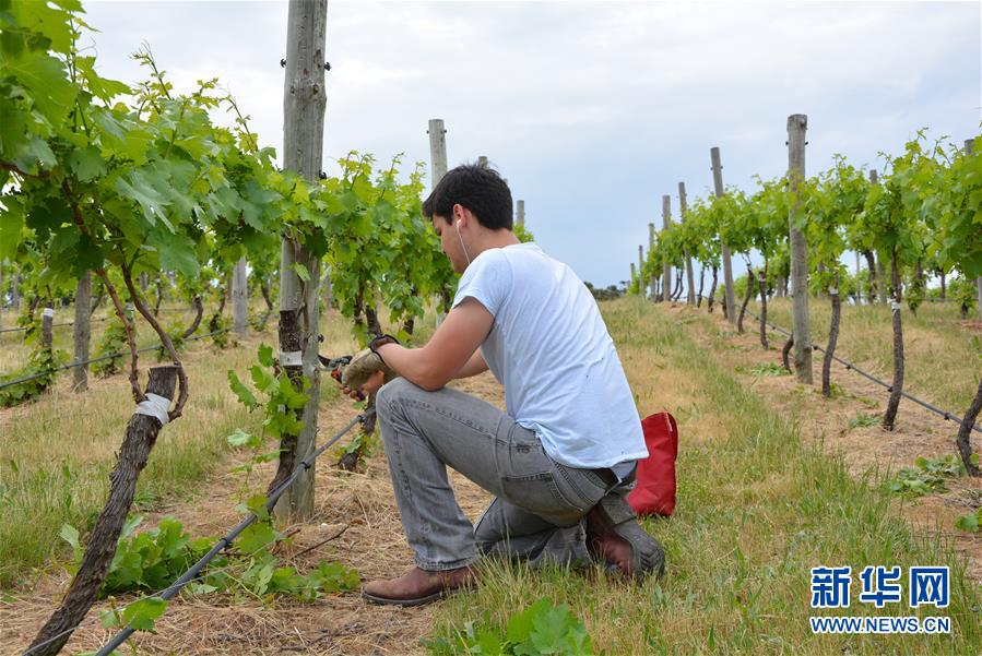 (第三屆進(jìn)博會(huì)·圖文互動(dòng))(7)專訪:進(jìn)博會(huì)是了解中國(guó)市場(chǎng)的好機(jī)會(huì)——訪澳大利亞諾瓦維塔葡萄酒集團(tuán)創(chuàng)始人卡臣