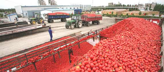 中國(guó)推動(dòng)構(gòu)建共贏、互信、發(fā)展的新絲綢之路