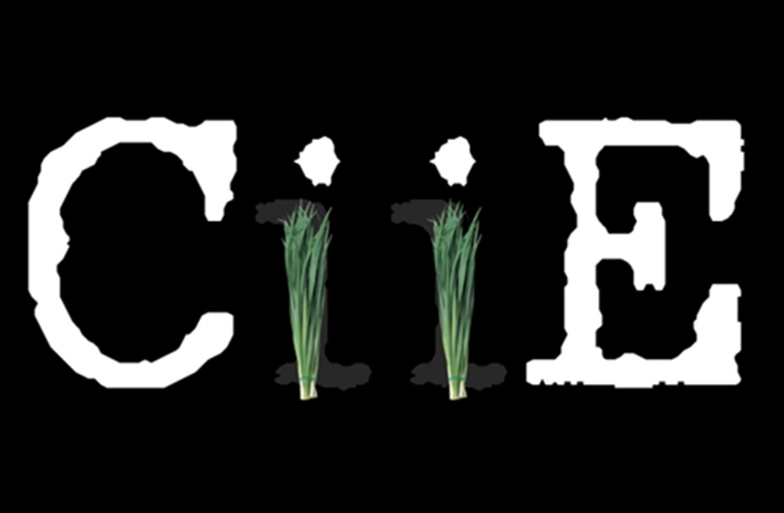 新華社創(chuàng)意動(dòng)感視頻：考眼力！數(shù)數(shù)多少樣進(jìn)口貨