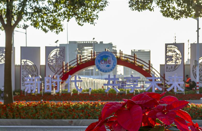 進(jìn)博之光輝耀世界&mdash;&mdash;寫在第二屆中國(guó)國(guó)際進(jìn)口博覽會(huì)開幕之際