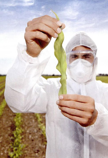 轉基因&ldquo;轉&rdquo;的是什么？