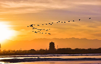 你想看的風景，這里都有