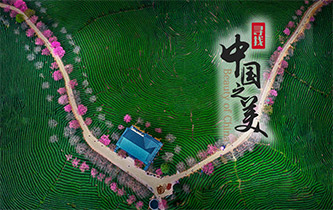 江山如畫(huà)，想把春的故事講給你聽(tīng)