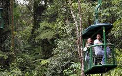 關(guān)注環(huán)境：哥斯達黎加 綠色國度生態(tài)游(組圖)