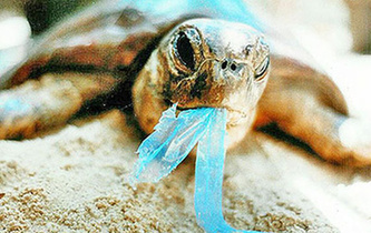 你隨手一扔，也許就毀掉它們的一生！